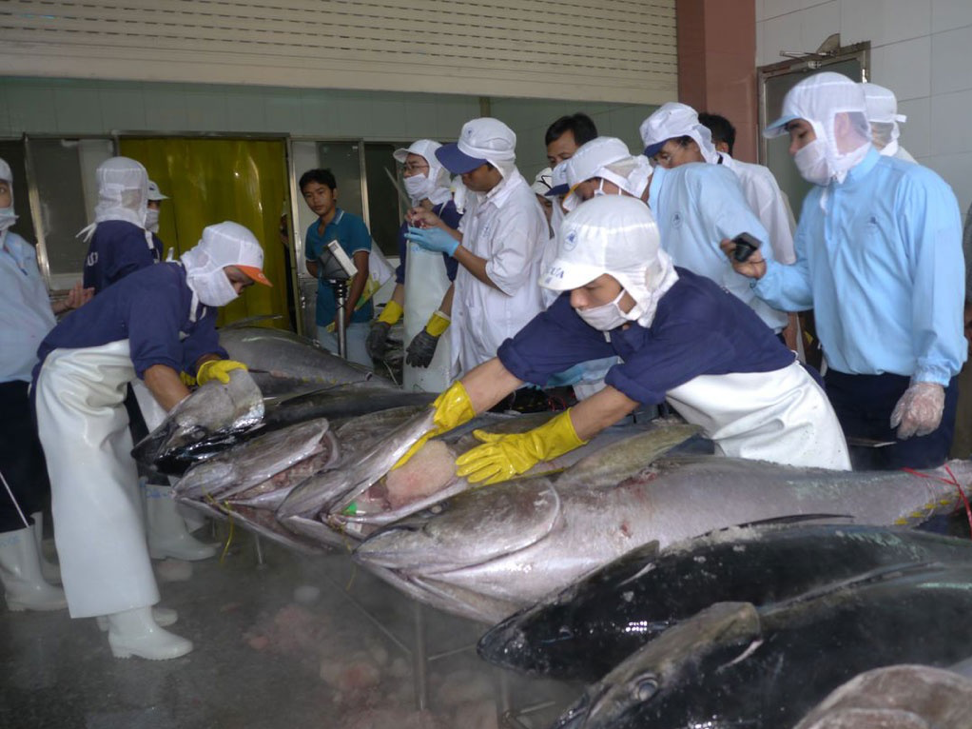 Thị trường xuất khẩu cá ngừ tăng trưởng mạnh, đạt mức cao nhất kể từ đầu năm nay