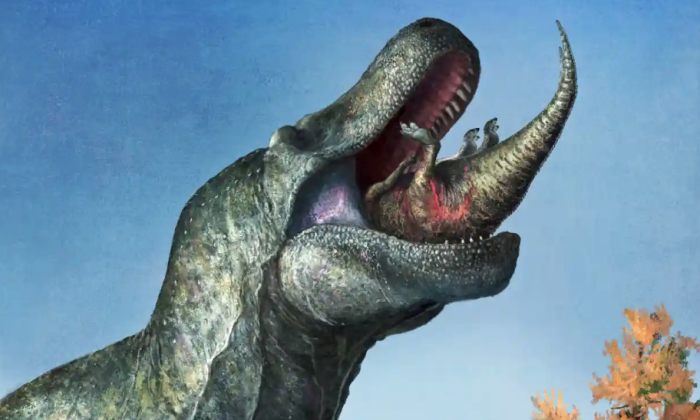 Phát hiện khủng long bạo chúa T-Rex có môi