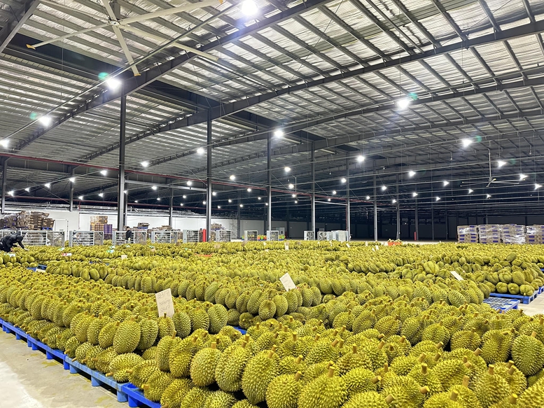 Tháo gỡ vướng mắc kiểm nghiệm, thúc đẩy xuất khẩu sầu riêng sang Trung Quốc