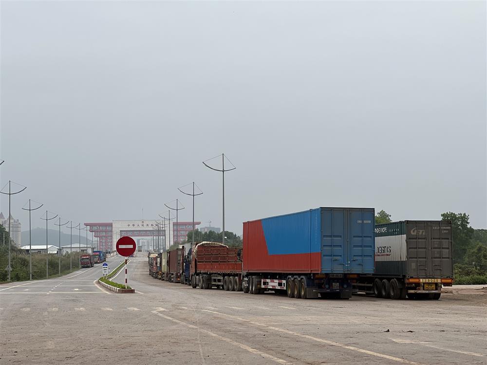 Container chờ ngày thông quan trở lại để quay đầu về Trung Quốc