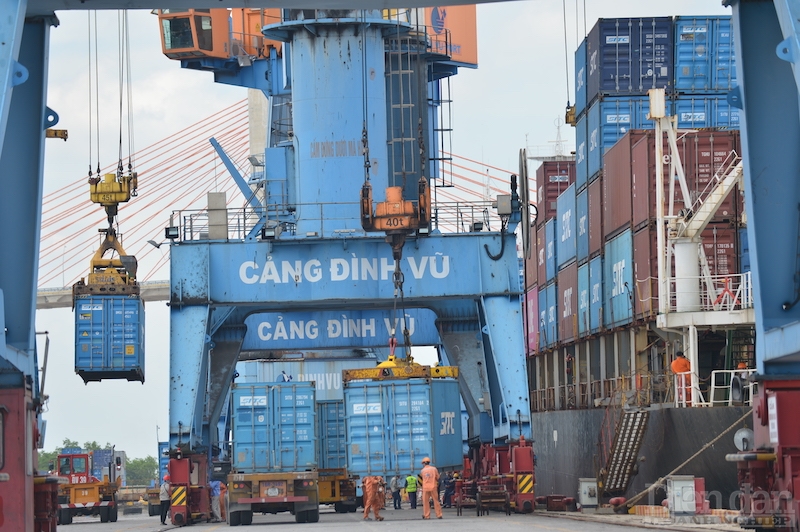 Phát triển các “sếu đầu đàn” trong lĩnh vực logistics