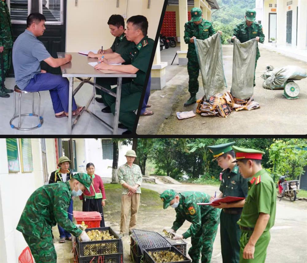 Lực lượng bi&ecirc;n ph&ograve;ng bắt giữ v&agrave; xử l&yacute; c&aacute;c vụ vận chuyển gia cầm, thực phẩm kh&ocirc;ng r&otilde; nguồn gốc trong th&aacute;ng 8 năm 2026.