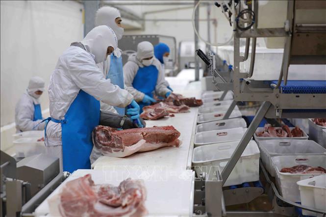 CPI quý I/2023 ước tăng 4,2  - 4,3% so với cùng kỳ năm ngoái