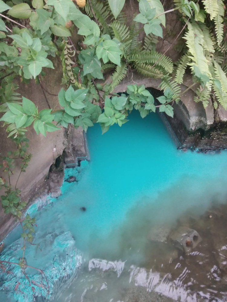 Thái Nguyên: Dân khốn khổ “tố” nhà máy giấy gây ô nhiễm