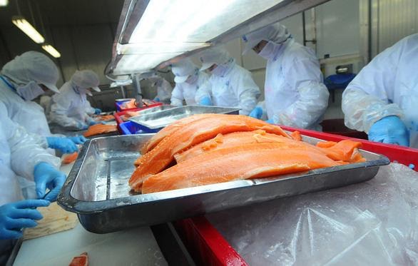 THƯƠNG HAY LÀM KHÓ DOANH NGHIỆP KHI QUY ĐỊNH MỚI VỀ GHI NHÃN HÀNG HÓA ?