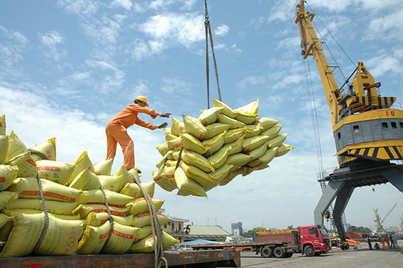 Việt Nam và Thái Lan đang nỗ lực trong cuộc đua giành vị trí thứ hai về xuất khẩu gạo